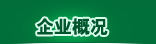 企业概况