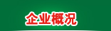 企业概况